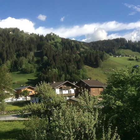 Апартаменти Kitzbuheler Alpen Penthouse Hollersbach Голлерсбах-ім-Пінцґау Екстер'єр фото