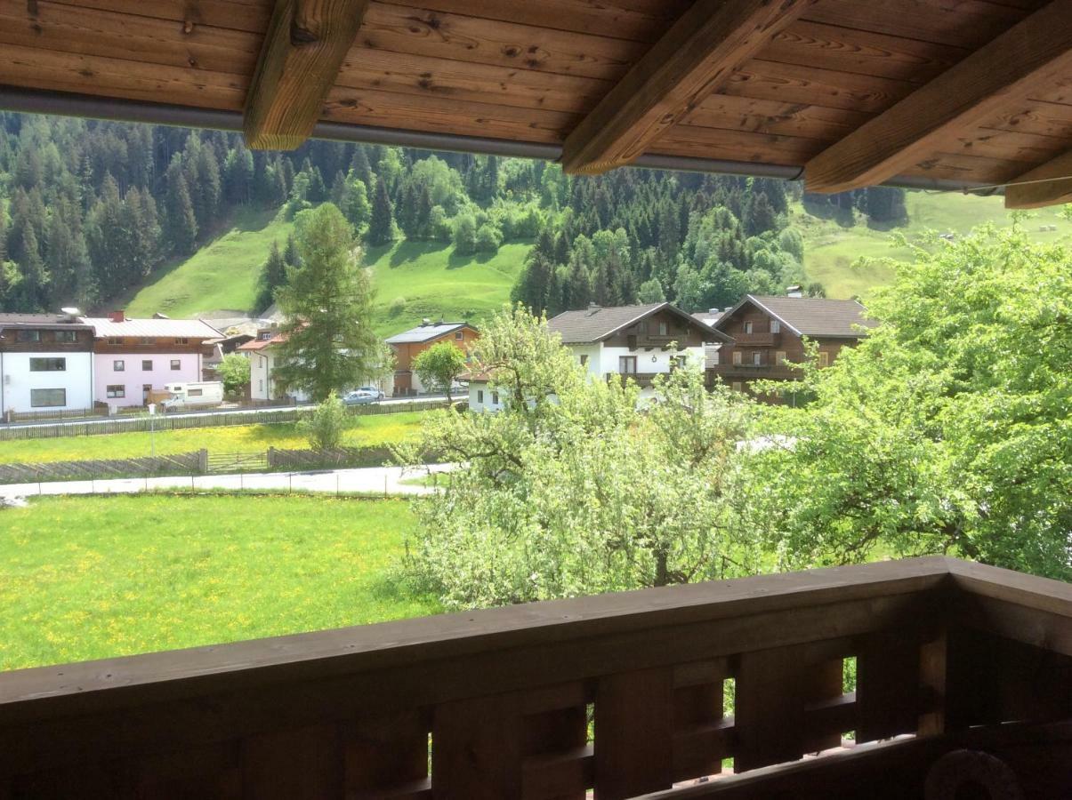 Апартаменти Kitzbuheler Alpen Penthouse Hollersbach Голлерсбах-ім-Пінцґау Екстер'єр фото