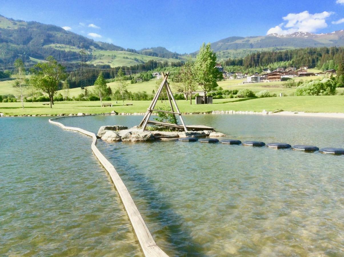 Апартаменти Kitzbuheler Alpen Penthouse Hollersbach Голлерсбах-ім-Пінцґау Екстер'єр фото